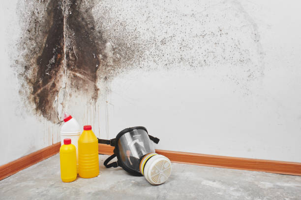 Best Crawl Space Mold Removal  in Hutchinson, KS