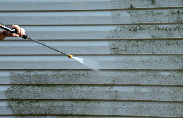 Home Mold Removal in Hutchinson, KS