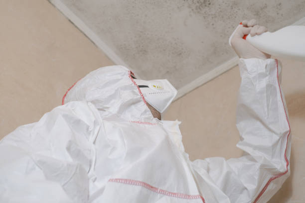 Hutchinson, KS Mold Removal Company