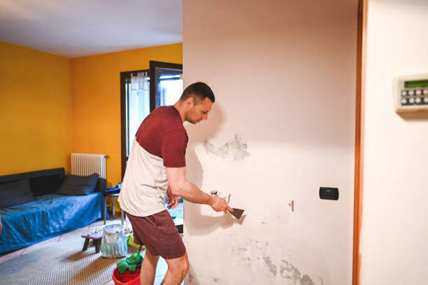Best Mold Removal Near Me  in Hutchinson, KS